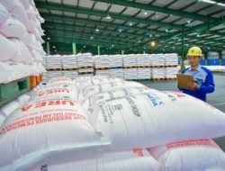 Pusri Salurkan hampir 400 Ribu Ton Pupuk Subsidi