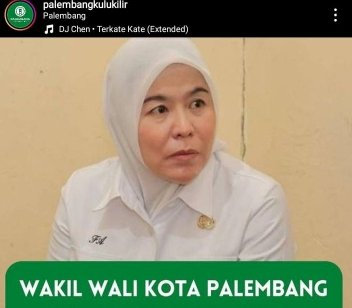 Wakil Walikota Palembang Fitrianti Agustinda /repro