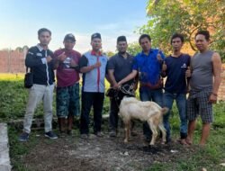 DPP API Salurkan Kambing Kurban ke Mushollah