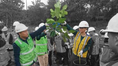 PTBA Ubah Lahan Bekas Tambang Jadi Kebun Buah