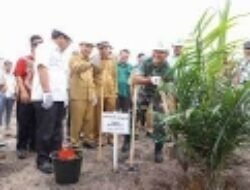 Wahai Pekebun Sawit Simak Kata Pj Bupati Muba Agar Harga Buah Sawit Dihargai Tinggi