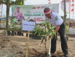Penanaman Ratusan Pohon di Lalan Meriahkan HUT RI ke-78