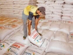 Stok Pupuk Subsidi PT Pusri di Sumsel Melimpah