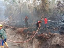 PT IAM Buka Suara Soal Asap Karhutbunlah