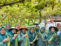 Plt Ketua TP PKK Banyuasin: Tingkatkan Kreativitas dan Motivasi