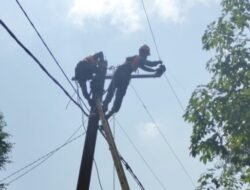 PLN Rayon Pendopo Terus Melakukan Perbaikan di Line Listrik Yang Putus di Kabupaten Pali