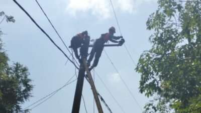 PLN Rayon Pendopo Terus Melakukan Perbaikan di Line Listrik Yang Putus di Kabupaten Pali