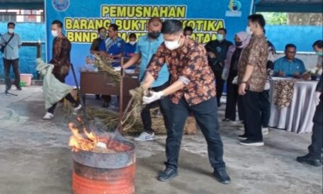 BNNP Sumsel musnahkan ganja dan sabu