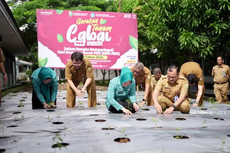 TP PKK Sumsel Dukung Gerakan Tanam Cabai Serentak se-Indonesia. (Humas Pemprov Sumsel)