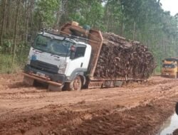 Kontraktor Keluhkan Jalan Perkebunan MHP di PALI Rusak Parah