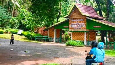 Menikmati libur lebaran Idulfitri dengan piknik di hutan pinus Kota Palembang