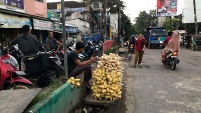 Ketupat Musiman yang Muncul Jelang Lebaran