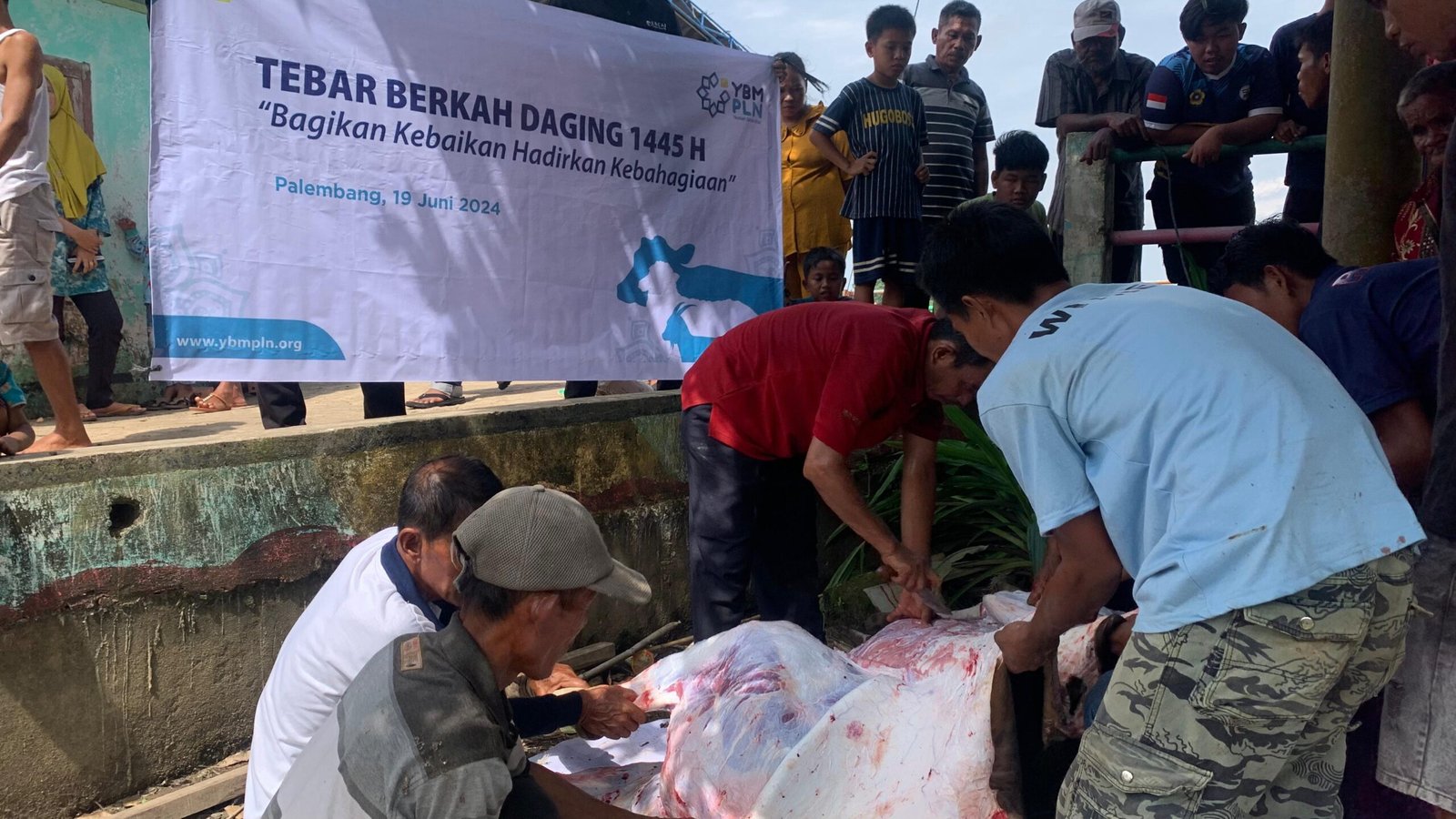 Peringati Hari Raya Idul Adha, YBM PLN UID S2JB Bagikan 400 Paket Daging Kurban