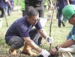 Green Mining, PTBA Tanam Pohon Bersama di Lahan Bekas Tambang