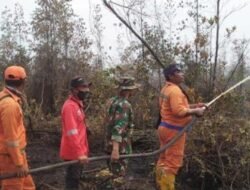 Karhutla Terjadi di Banyuasin
