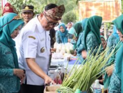 Pj. Bupati Banyuasin M. Farid Tinjau Operasi Pasar Murah Dan Pelayanan Kolaboratif Klecamatan Muara Telang