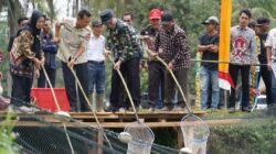 Muhammad Farid Menyerahkan Bantuan Excavator Dan Panen Ikan Patin Desa Sungai Rengit