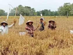 Pemkab PALI Terus Dukung Capaian Produksi Petani