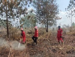 Tiap Tahun, Lahan Gambut di Sumsel Terus Menyusut