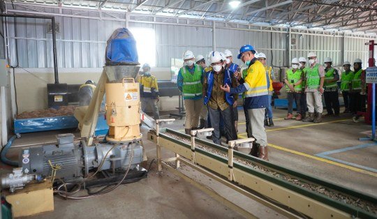 Kembangkan Biomassa dari Kaliandra Merah, Bukit Asam (PTBA) Bangun Pilot Plant Wood Pellet