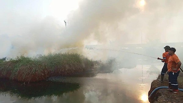 Tim Satgas Karhutla Ogan Ilir saat upaya pemadaman di sekitar Tol Palindra. (Dok. BPBD Ogan Ilir)