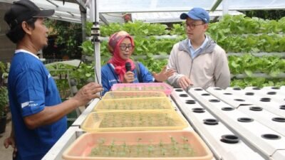 Sektor hasil pertanian binaan kampung binaan astra pakayon bekasi (sumber: humas KBA)