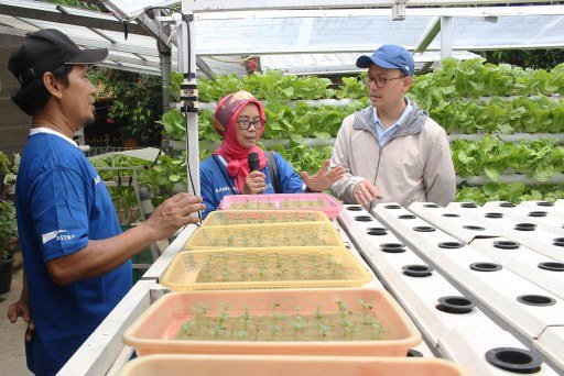 Sektor hasil pertanian binaan kampung binaan astra pakayon bekasi (sumber: humas KBA)