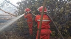 Karhutla di Dua Daerah Sumsel Berangsur Padam