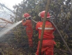 Karhutla di Dua Daerah Sumsel Berangsur Padam