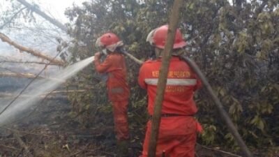 Proses pemadaman Karhutla di Lempuing Jaya OKI, Sumsel (Dok: Manggala Agni)