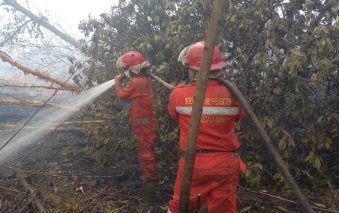 Proses pemadaman Karhutla di Lempuing Jaya OKI, Sumsel (Dok: Manggala Agni)