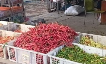 Cabai Merah dan Hijau di Pasar Simpang Sungki Palembang. Foto : Halopos.id