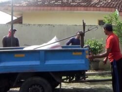 Jelang Pemungutan Suara Pilkada 2024, Jasa Sewa Tenda di Palembang Kebanjiran Pesanan