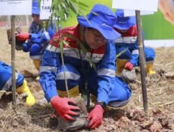 HUT Pertamina ke-67, Pertagas Tanam 120 Pohon