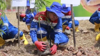 PT Pertamina Gas (Pertagas) tanam 120 pohon