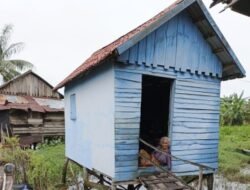 Pilu, Kisah Janda Sebatang Kara Tinggal Digubuk Reot