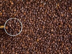 Kopi Sumsel Jadi Peluang Kolaborasi dan Ekonomi Kabupaten/kota