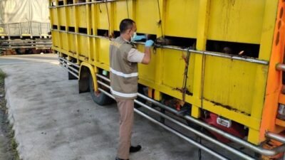 Prosedur Barantin Cek Lalulintas PMK dari Palembang ke Babel (Dok. Barantin) 