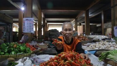 Ilustrasi penjual Cabai di Kota Yogyakarta. (Foto: SN)