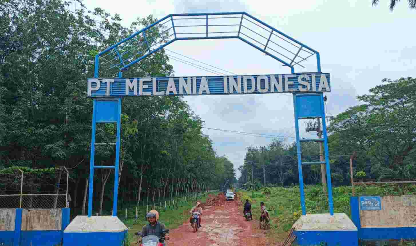 Pintu gerbang PT. Melania Indonesia (Shamrock Grup) di Desa Mainan, Kecamatan Sembawa, Kabupaten Banyuasin, Jumat (10/1/2025). (Foto : Maulana).