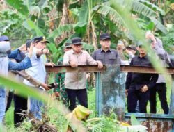Wamendagri Minta Saluran Irigasi Pertanian di Tanjung Lago Banyuasin Diperbaiki
