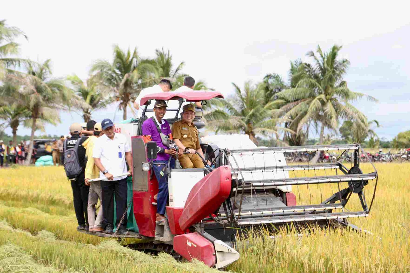 Zulhas saat meninjau panen padi di Kabupaten Desa Seri Meranti, Kecamatan Tanjung Lago, Kabupaten Banyuasin, Sumatera Selatan, Senin (13/1/2025).