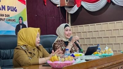 Kadis PPPA Sumsel, Fitriana Jadi Narasumber Advokasi Penyelenggaraan Pengarusutamaan Gender dan Program Pemberdayaan Perempuan dan Perlindungan Anak