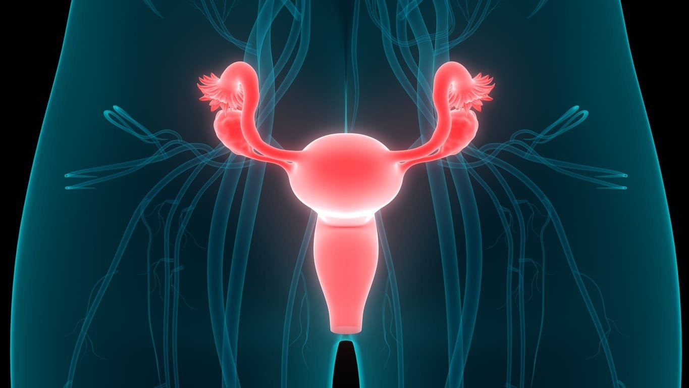 Ilustrasi gambar Kanker Serviks. (Foto : Internet)