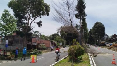Dinas PUTR Pagaralam memangkas pohon berbahaya di kawasan Gunung Gare