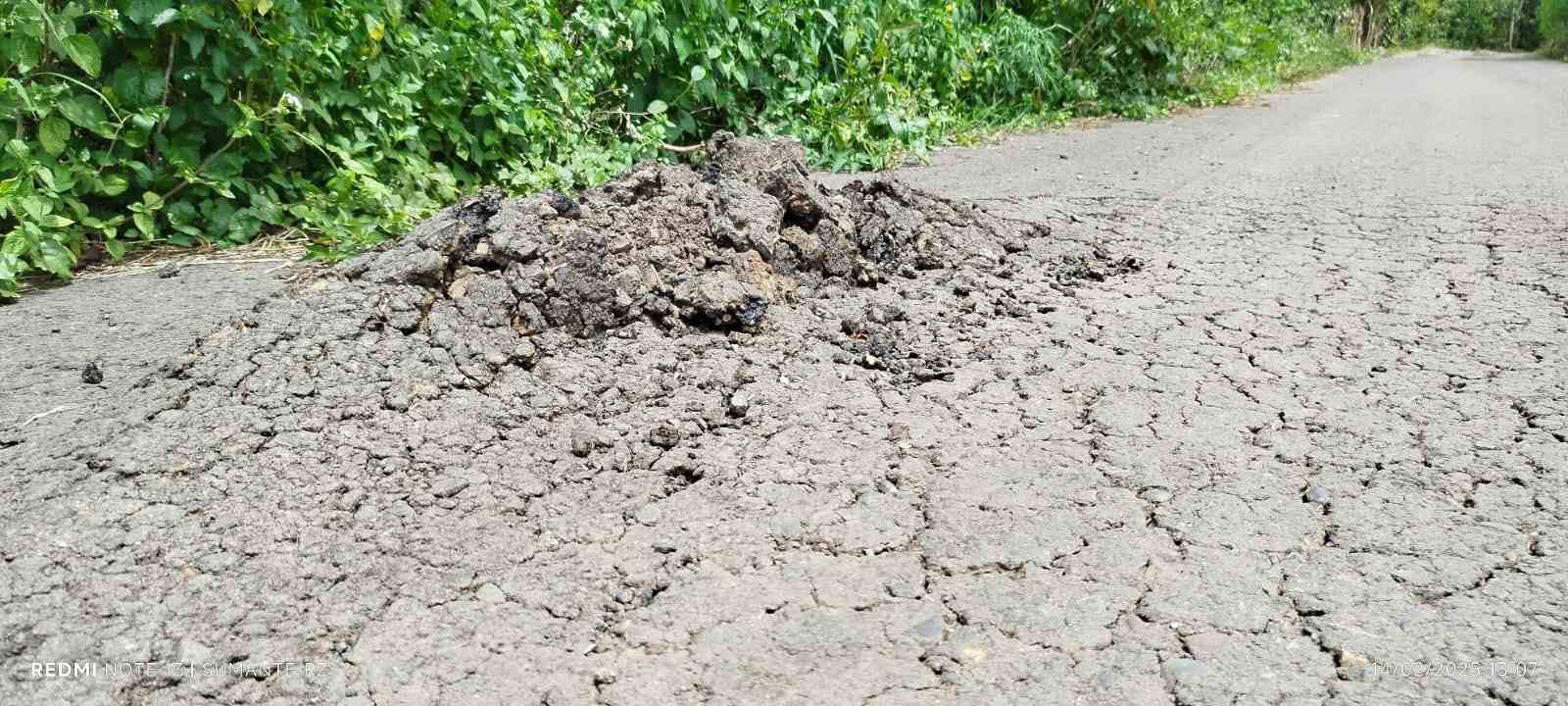 Gundukan aspal misterius di jalan alternatif Karang Dalo, Pagaralam, meresahkan warga. Diduga akibat kendaraan bertonase besar, kondisi ini berpotensi membahayakan pengendara.