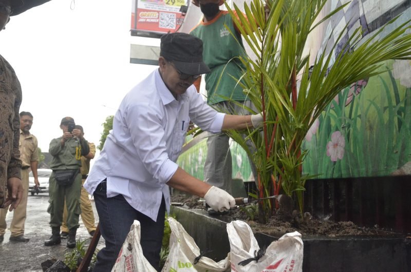 Wali Kota Yogyakarta Hasto Wardoyo menanam pohon palem merah di Depo THR, Senin (10/3). (Foto : Pemko Yogya)