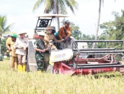 Panen Raya Serentak, Banyuasin 3 Besar Penghasil Gabah Nasional Optimis Optimalkan Swasembada Pangan