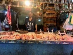 Harga Ayam di Palembang Turun