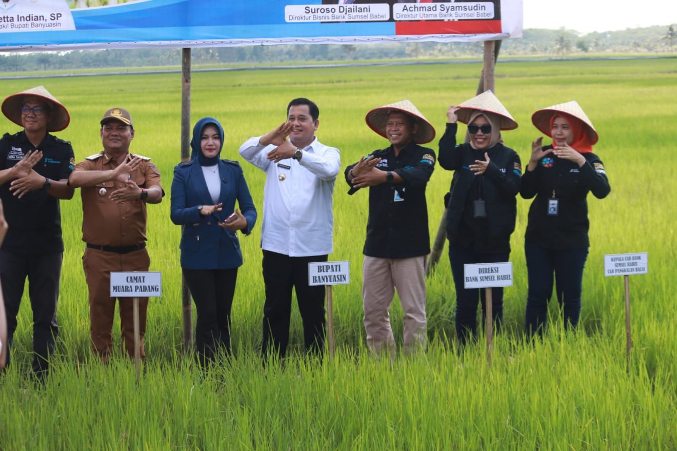 Bupati Banyuasin Apresiasi Bank Sumsel Untuk KUR Para Petani Muara Padang